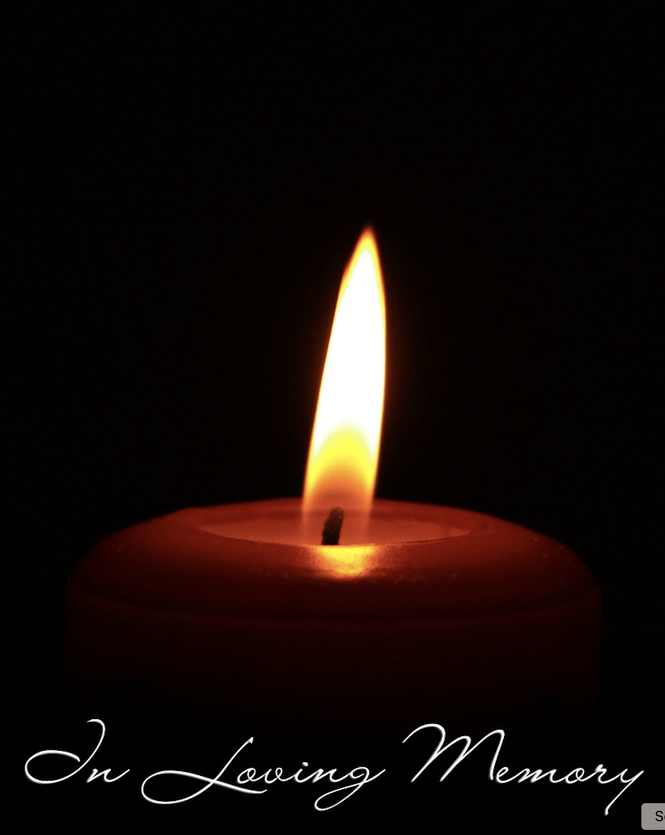 In Loving Memory